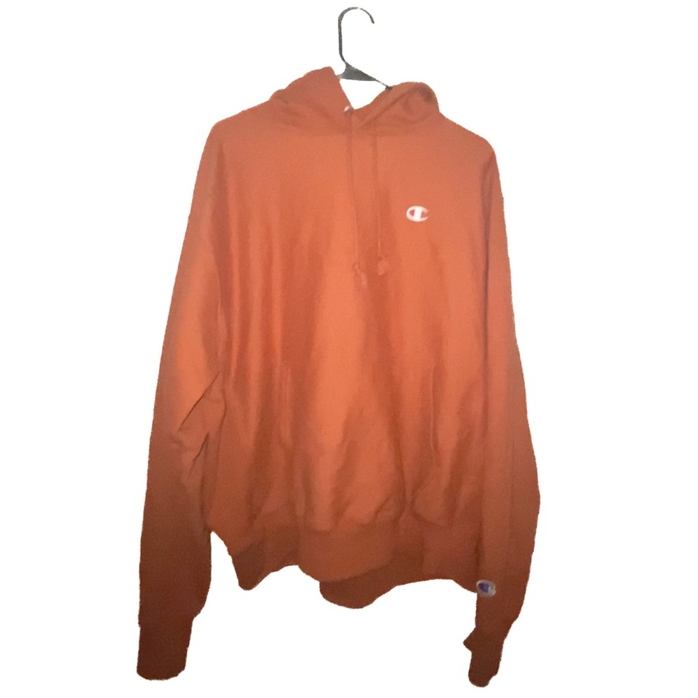 Reverse Weave Hoodie